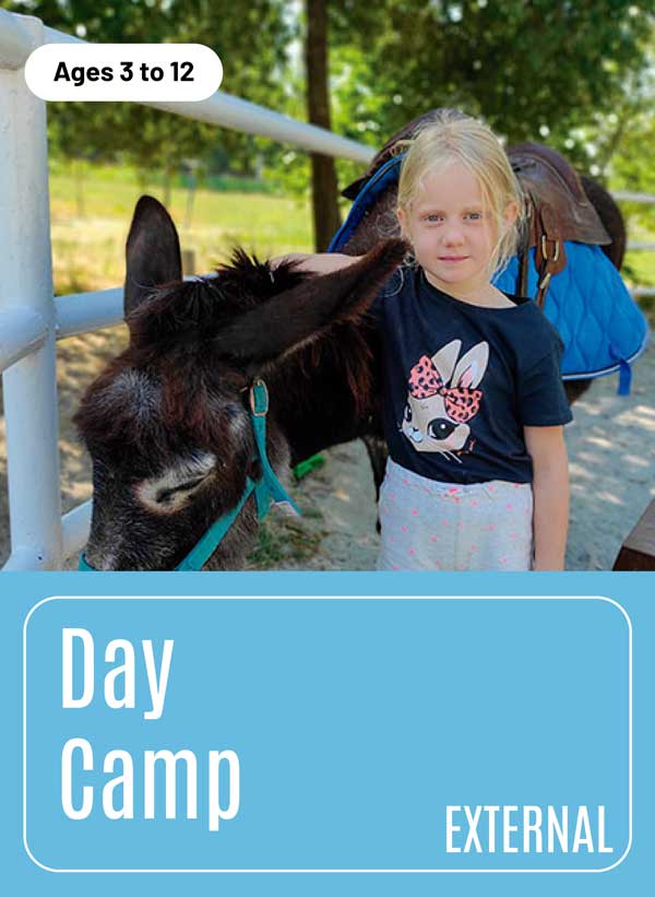 Day Camp